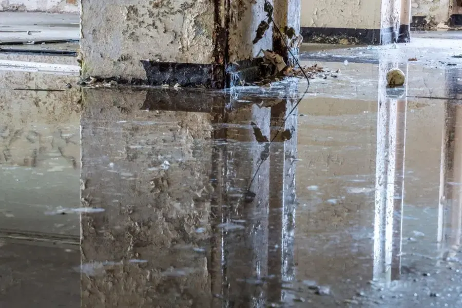 Standing water reflecting across a floor before extraction begins