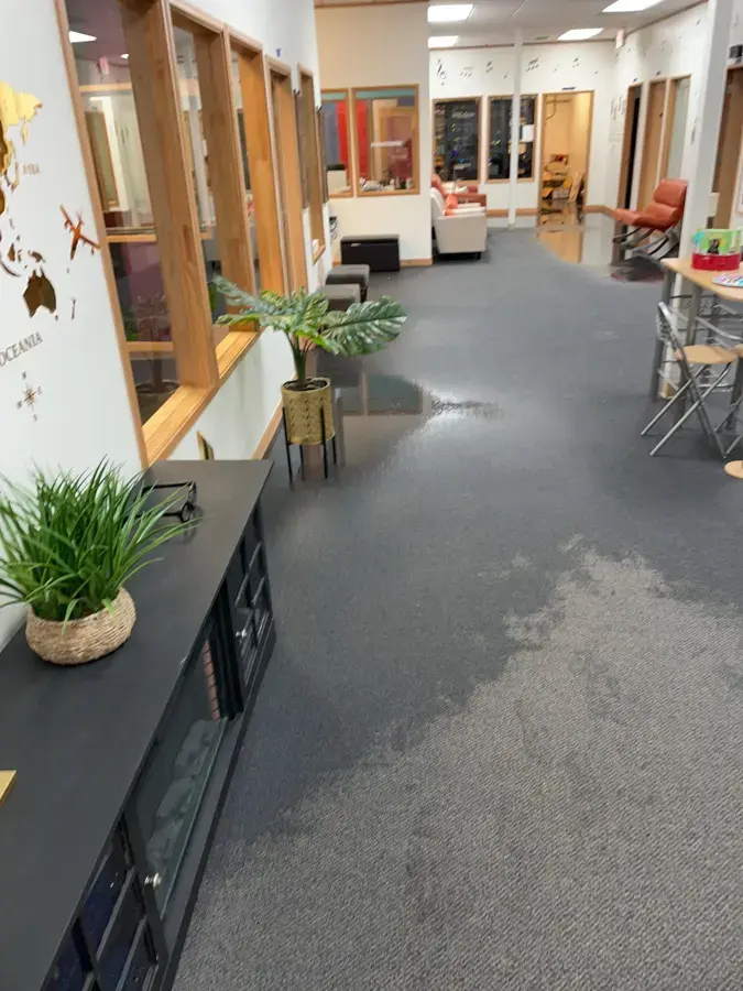 Wet carpet across an open office floor after a commercial water loss